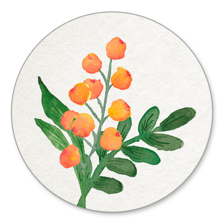 Botanical Detail